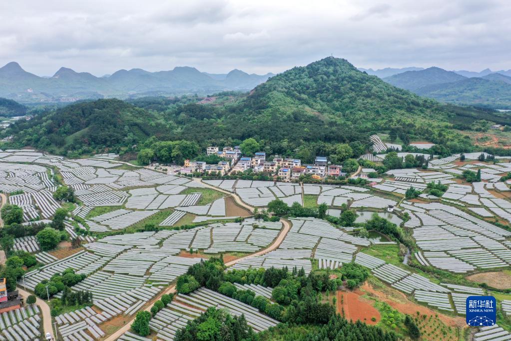 這是廣西桂林市全州縣才灣鎮(zhèn)毛竹山村（4月25日攝，無人機(jī)照片）。新華社記者 曹祎銘 攝